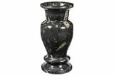 Limestone Vase With Orthoceras Fossils #122443-1